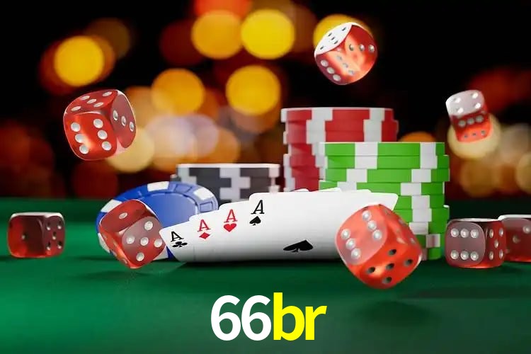 Experiência VIP 66br